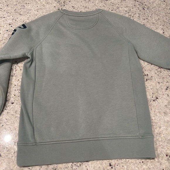 Carhartt Sage Crewneck Sweater with Raglan Sleeves - Picture 4 of 4